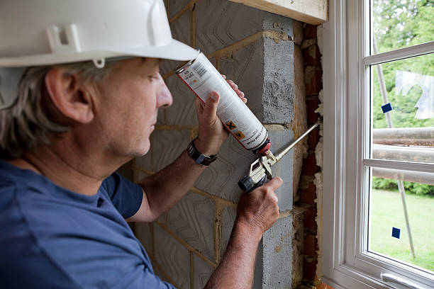 Best Attic Insulation Installation  in Panaca, NV